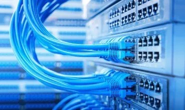 Blue network cables connected to switches
