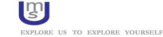 Universe Microsystems